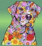 Flowers Yellow Lab