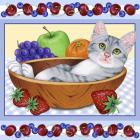 Fruit Bowl Kitten