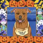 Halloween Pitbull