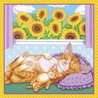 Sunflowers Kitten