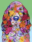 Flowers Basset Hound