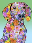 Flowers Dachshund