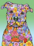 Flowers Pitbull