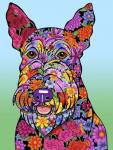 Flowers Scottish Terrier