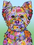 Flowers Yorkie Puppycut