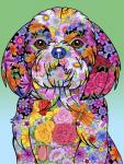 Flowers Shih Tzu