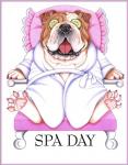 Spa Bulldog