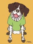 German Pointer