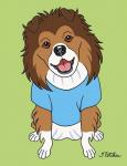 Shetland Sheepdog