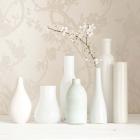 Blossom and White Vases Still Life