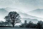 Blue Landscape with Tree