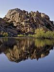 Joshua Tree Lake