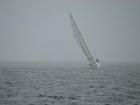 Sailboat in Wind