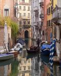 Traditional Gondolier