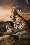 Cheetahs Of Dusk