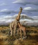 Kilimanjaro Pair