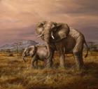 Mother and Child (Elephants)