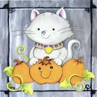 Pumpkins and Kitty 1