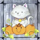 Pumpkins and Kitty 1