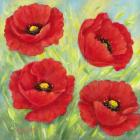 Poppies A