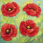 Poppies B