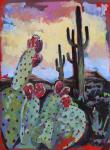 Tucson Bloom