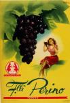Gianrosa 1955 - Grapes