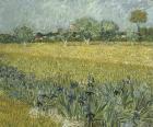 View of Arles with Irises