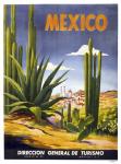 Mexico Cactus
