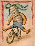 Bike Corn