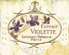 Extrait Violette (2)