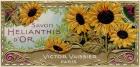 Savon Sunflowers