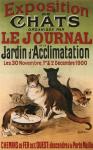 Exposition De Chats