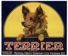 Terrier Label