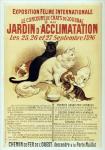 Exposition Feline