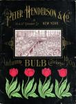 Henderson Tulips
