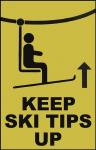 Ski Tips