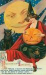 Hallow Witch Pumpkin Cat