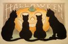 Halloween Black Cats Pumpkin