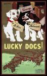 Lucky Dogs