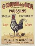 Poussins