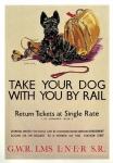 Take Your Dog