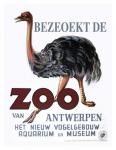 Bezeoekt de Zoo