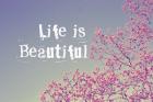 Life Is Beautiful