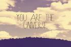 You Are The Universe