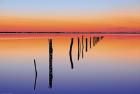 Vanishing Fence Line