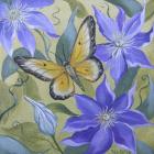 Large Butterfly and Clematis