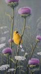 Goldfinch