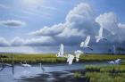 Summer Storm Egrets