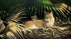 Sunny Spot Bobcat with Kittens